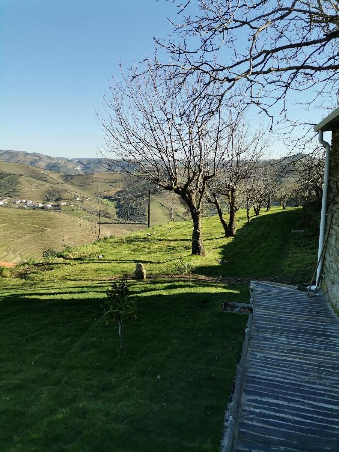 Quinta De Travassinhos- Douro Valley & Spa Santa Marta de Penaguiao Exterior photo